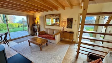 Télévision, cheminée, livres, chaîne hi-fi