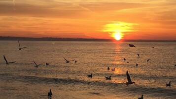 A sunset over a body of water with birds flying and swimming.