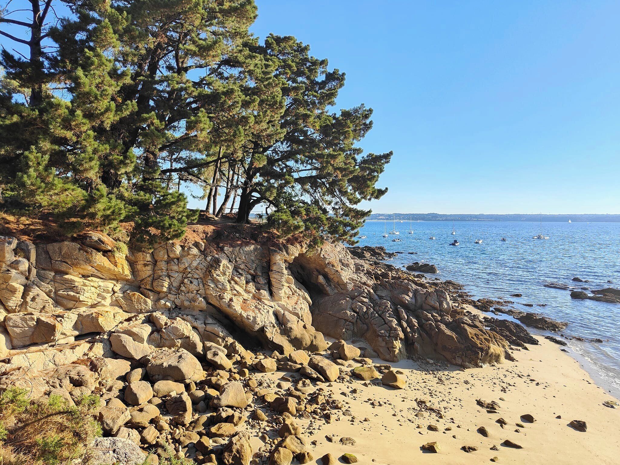 Strand