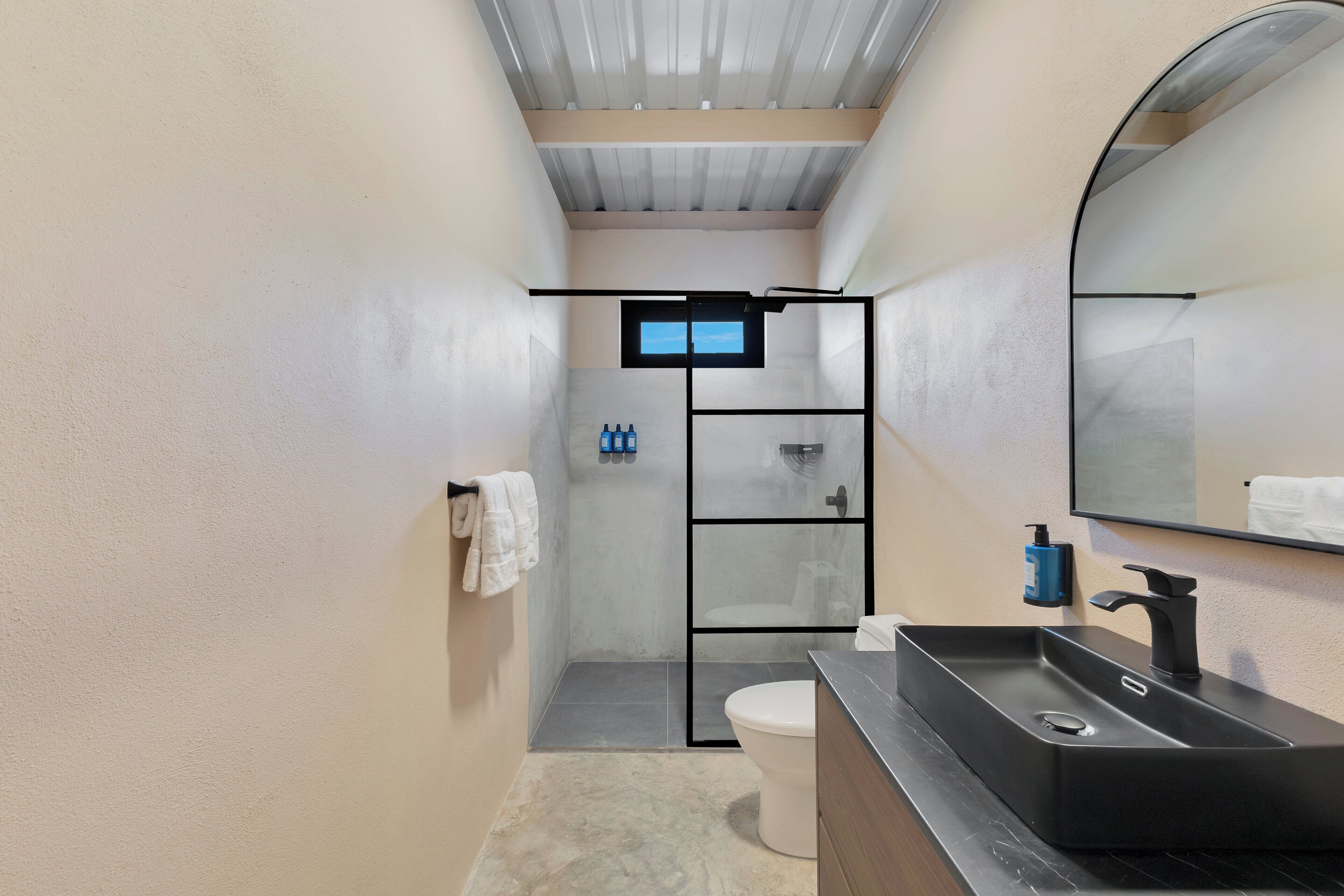 A modern bathroom with a large sink, a toilet, a glass shower enclosure, and a mirror.