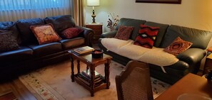 TV connectée, cheminée, lecteur de DVD, livres