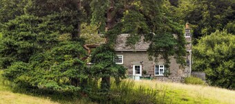 The Library - UK46649