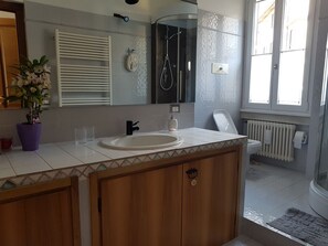 Shower, hair dryer, bidet, towels