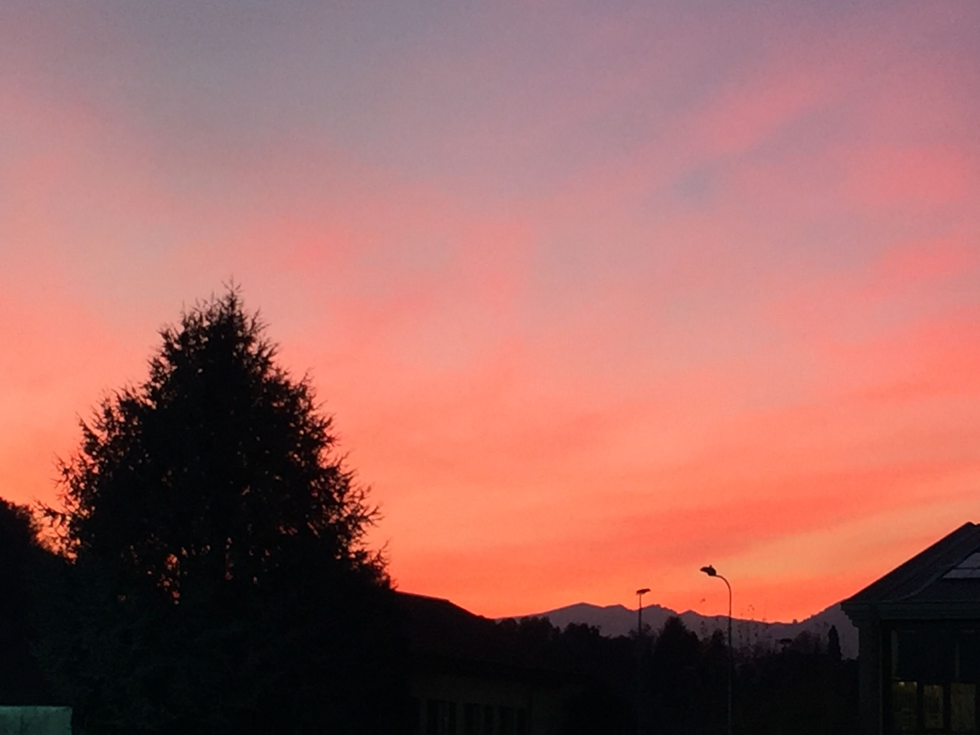 A silhouette of a tree against a sunset sky.