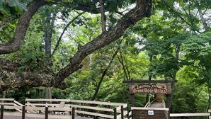 Ein hölzernes Schild heißt Besucher der Grand Bear Villas willkommen, eine rustikale Holzbrücke und ein gepflasterter Weg.
