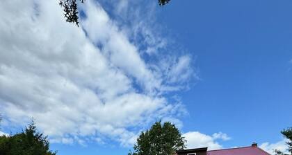 Unique house with mancave and game room. Wildlife, pet friendly, hot tub, Wi-Fi!