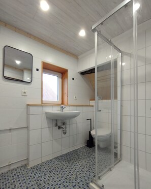 Shower, towels, soap, toilet paper