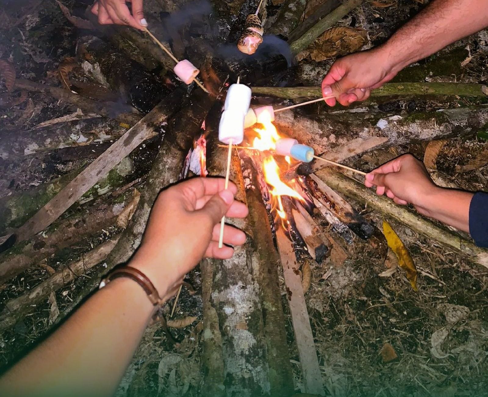 En grupp människor som rostar marshmallows över en lägereld.