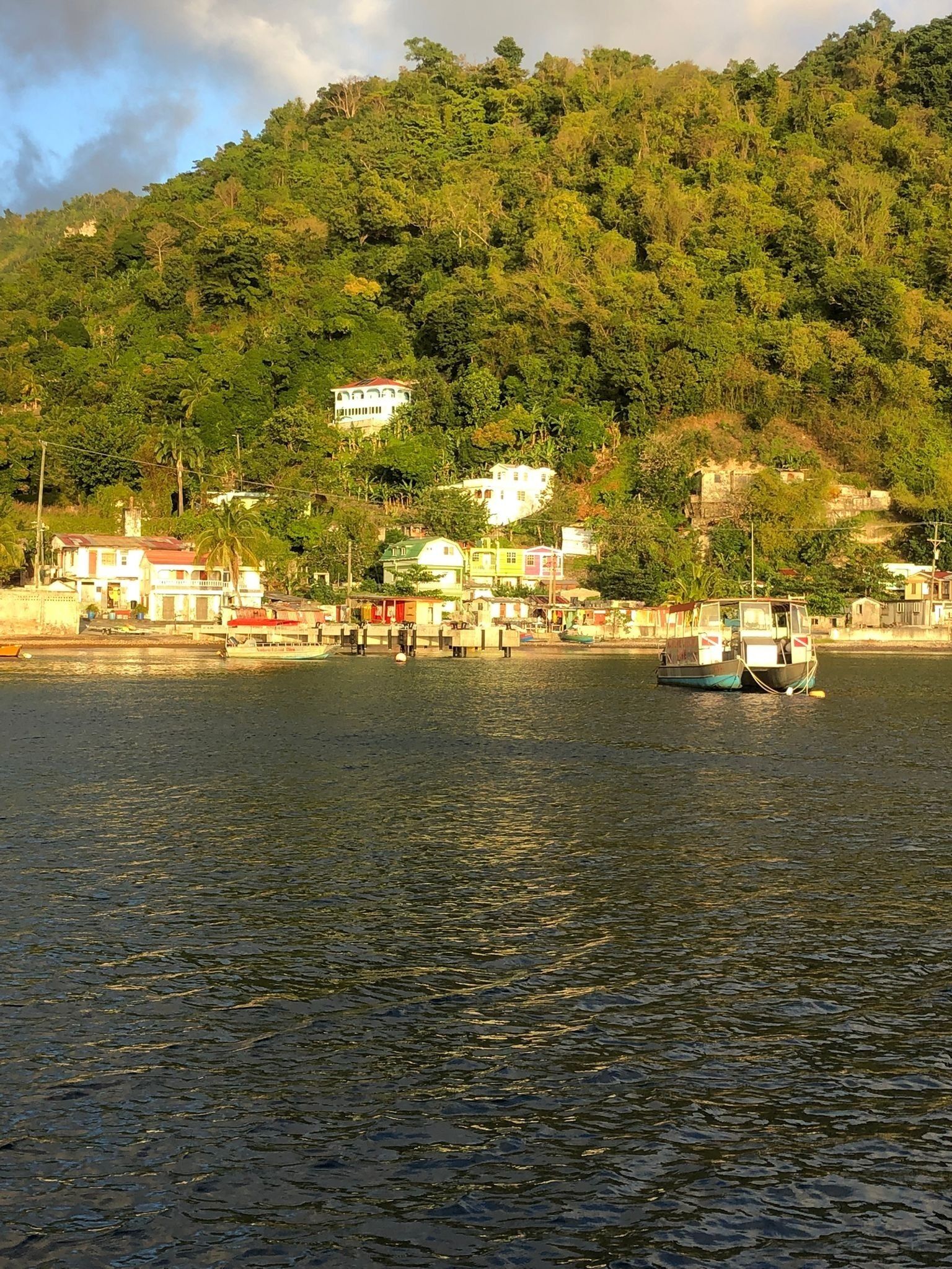 A coastal area with a small harbor, houses on the hillside, and a boat in the water.