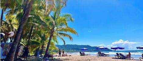 Serviettes de plage