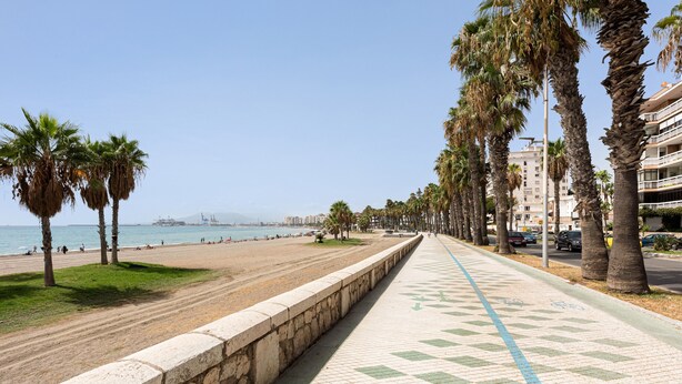 Une promenade en bord de mer, bordée de palmiers, qui mène à une plage d’où l’on a une vue dégagée sur la mer et les bâtiments situés au loin.
