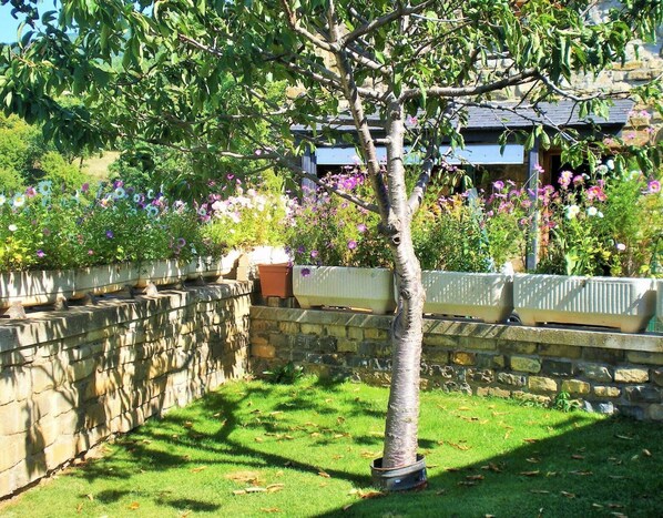 Property grounds - Holiday Home 'La Casa De Luis' with Mountain View, Private Terrace and Wi-Fi (Castiello De Jaca)