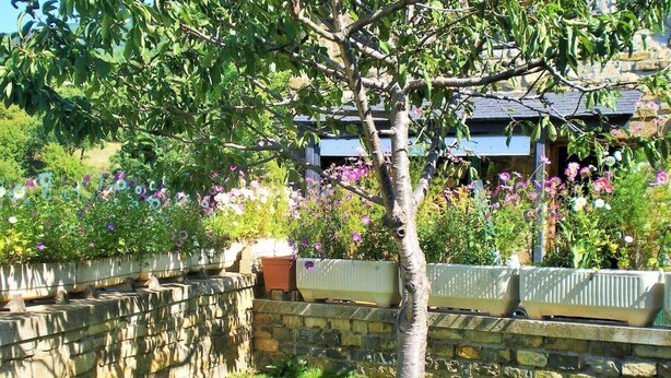 A tree in a garden with a stone wall and flower beds. - Holiday Home 'La Casa De Luis' with Mountain Views, Private Terrace and Wi-Fi (Castiello De Jaca)