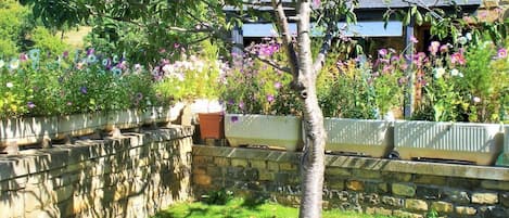 Terrain de lâhĂ©bergement