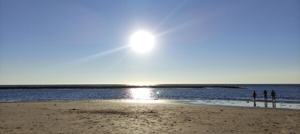 Playa en los alrededores 