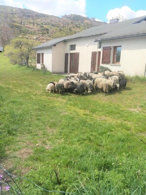 Terrein van de accommodatie