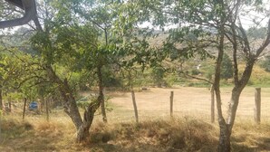 A table and chairs in a grassy outdoor area with trees and a fence in the background. - Holiday Home 'Gîte Le Suquet' with Mountain View and Private Terrace (Dourbies)