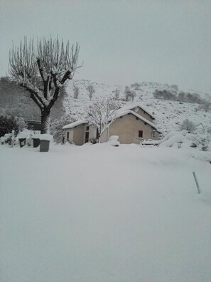 Een huis op het platteland bedekt met sneeuw, met een grote boom ervoor, omgeven door een besneeuwd landschap.