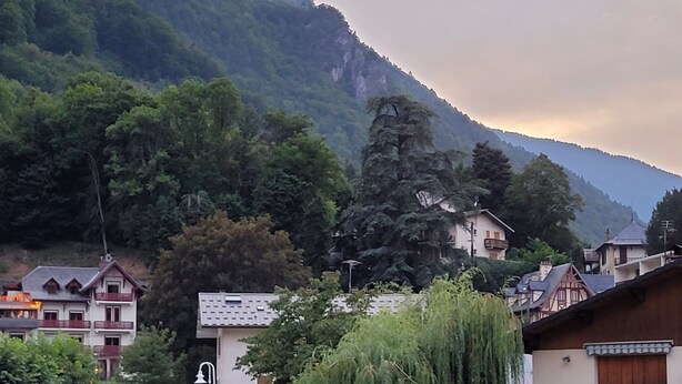 A residential area with houses, a weeping willow tree, and mountains in the background.