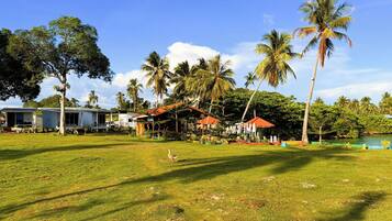 A grassy area with a building, palm trees, and a clear sky.
