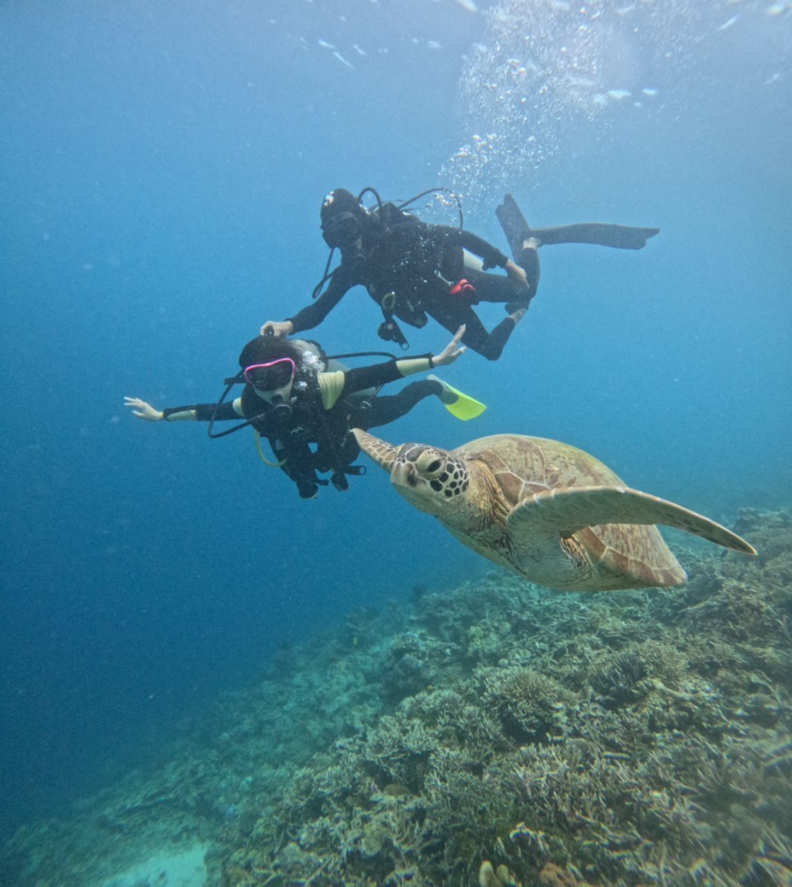 Dois mergulhadores nadando com uma tartaruga marinha debaixo d'água.