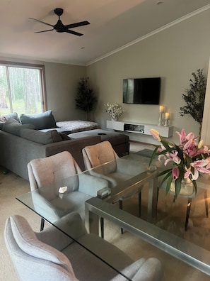 Smart TV, fireplace, video games