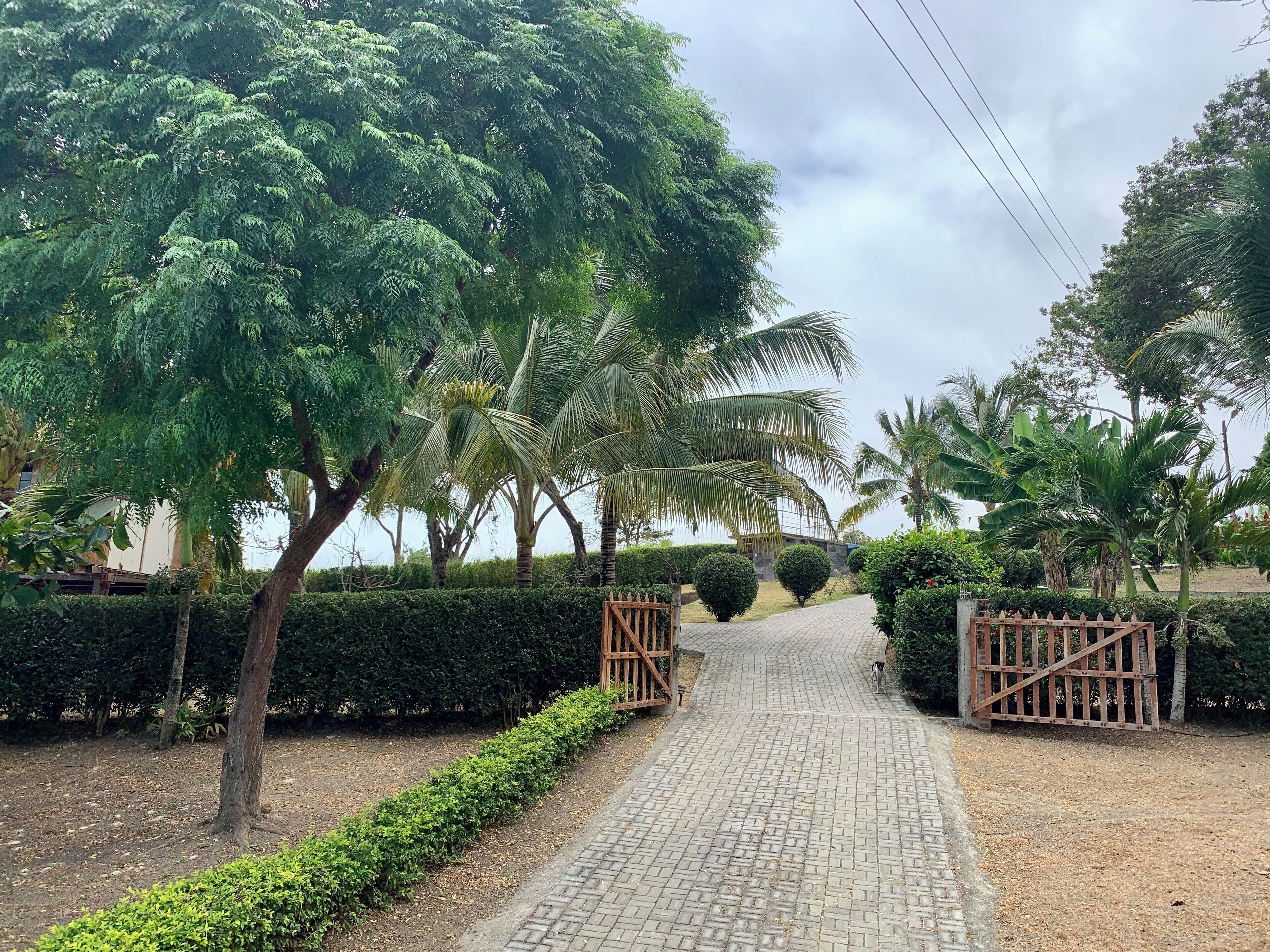 Área da propriedade