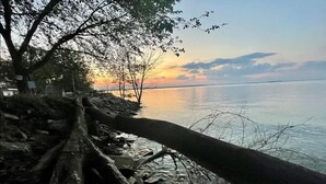 A waterfront path with a fallen tree trunk, a clear view of the sunset over the water, and a distant shoreline. - The Perch- 1 bedroom guest studio above garage (Oregon)