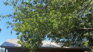 A single-story building with a metal roof, a porch with steps, and a small front yard. - Quaint, handicap accessible house in serene Lehigh, classified as a ghost town. (Lehigh)
