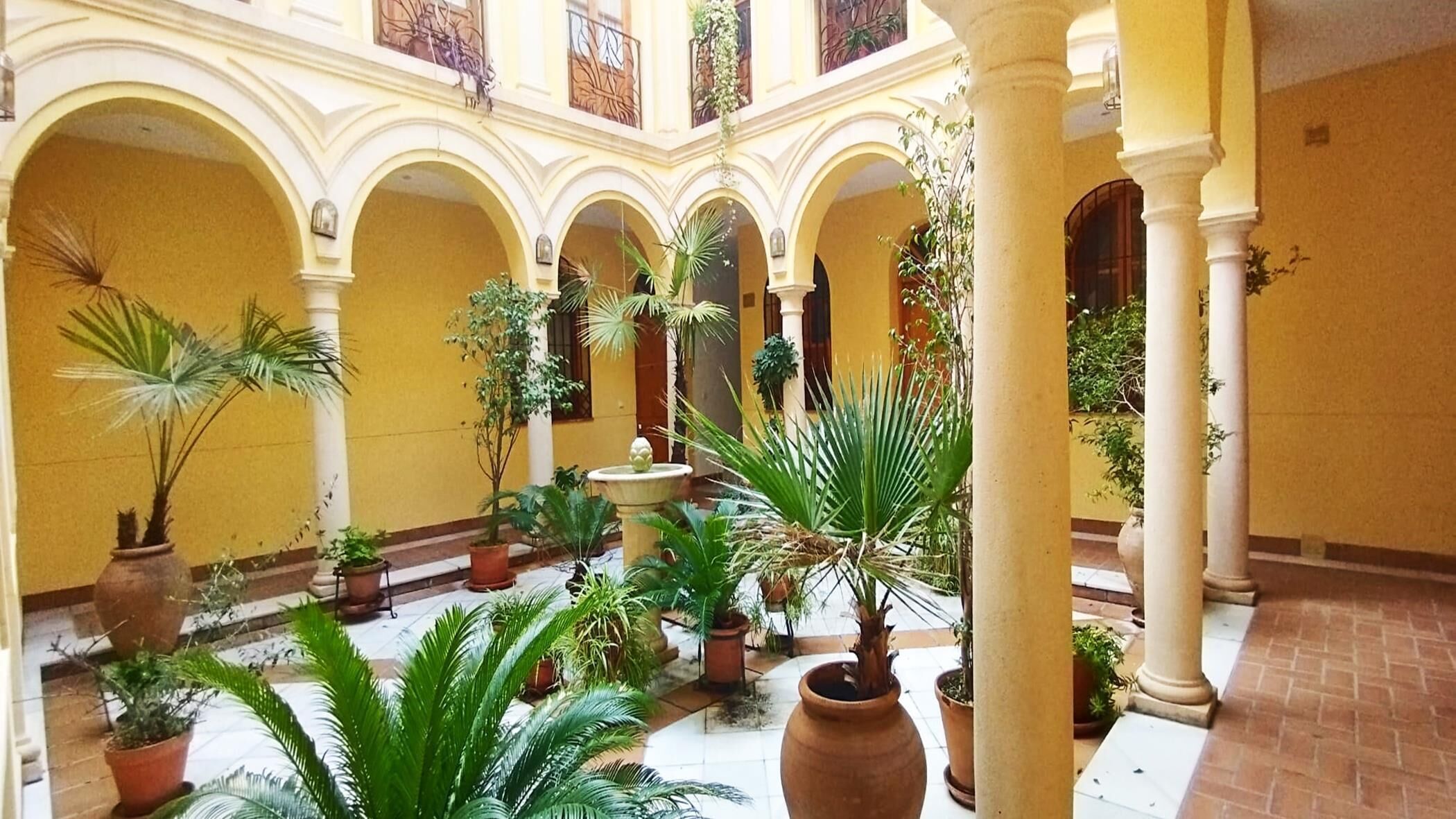 Áreas de la propiedad