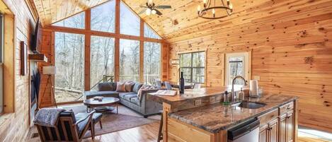 TV, fireplace, offices