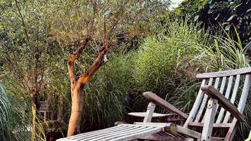 Un banc en bois dans un jardin, avec un arbre et un feuillage dense en arrière-plan.
