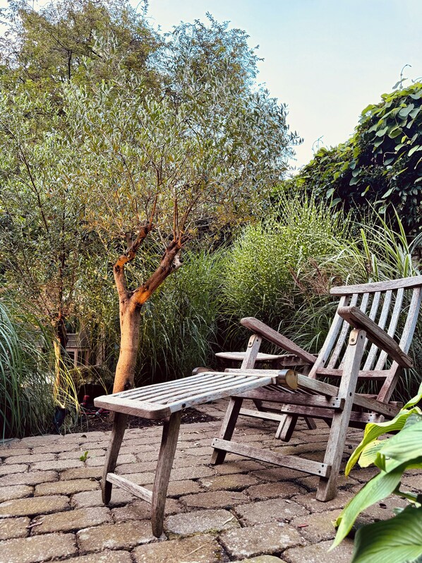 Un banco de madera en un jardín con un árbol y follaje abundante al fondo.