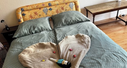 Charming 2-bedroom apartment with WiFi, AC in the center of the fabulous Győr.