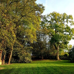 A park with a large grassy area and trees. - Belle Demeure Picarde Avec son Parc de 5000m2 (le ployron)