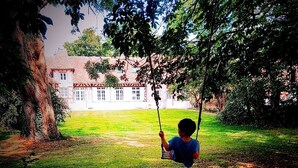 Un enfant sur une balançoire, dans un espace verdoyant, avec un bâtiment en arrière-plan.