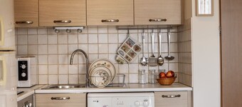 STAY Sunflower Delight Studio