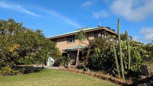 Una casa de dos pisos con techo verde, rodeada de plantas y cactus.