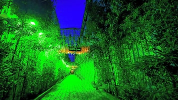 住宿陆地景观