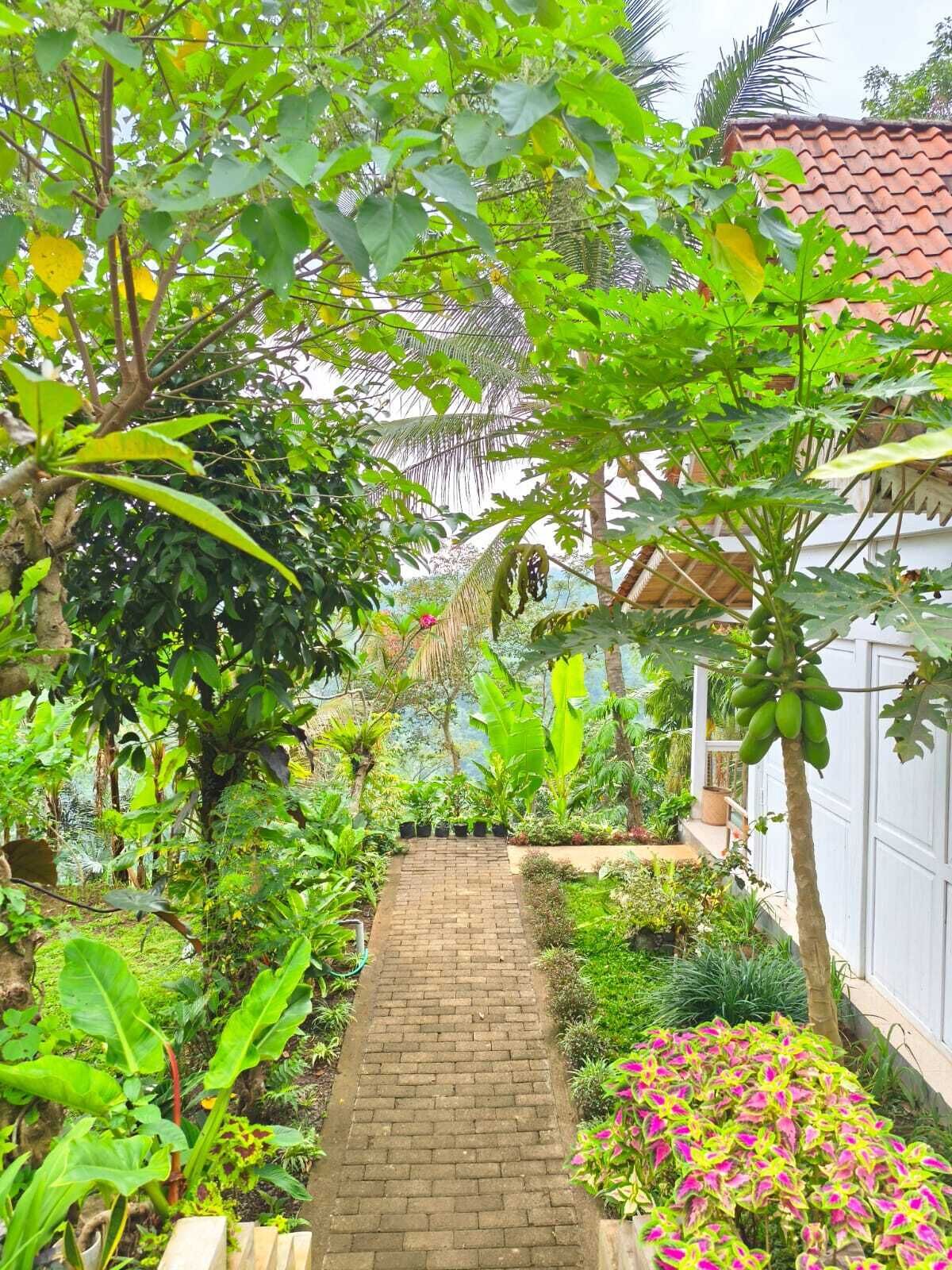 Un sendero en un jardín que conduce a un edificio con techo de tejas.