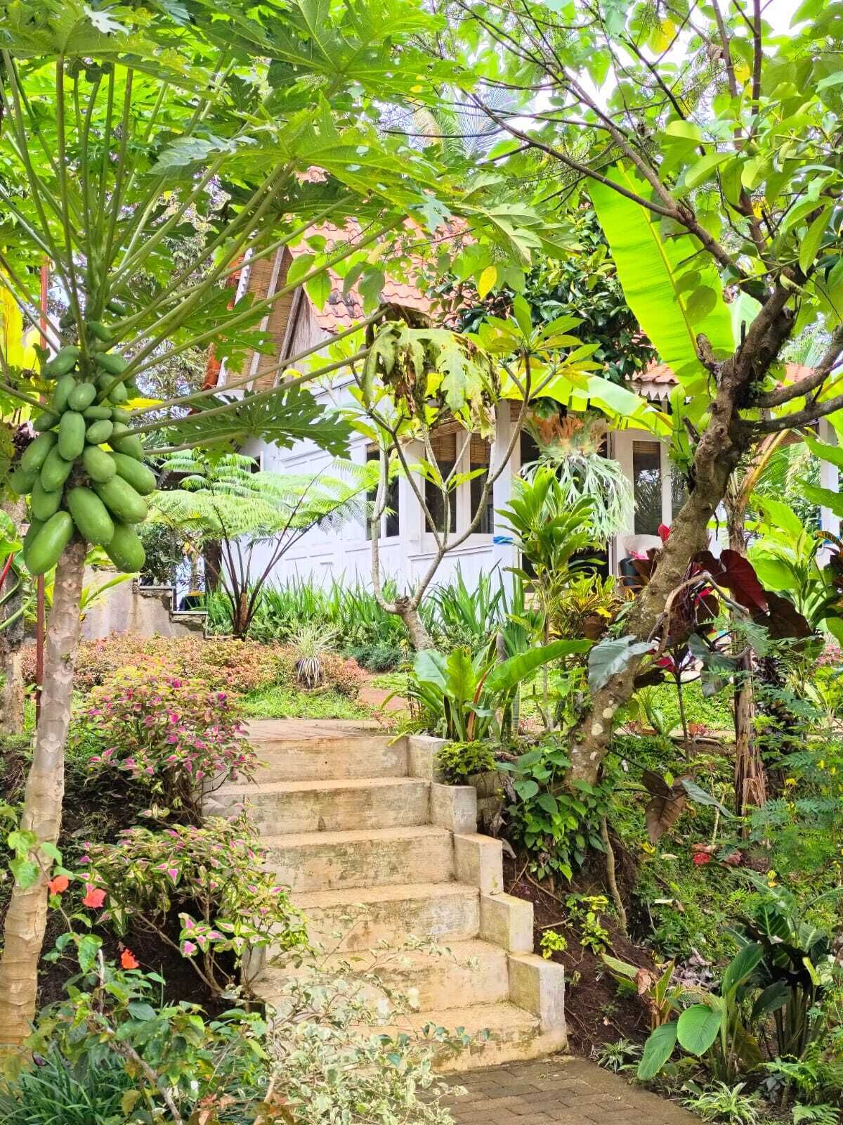 Ngoại thất