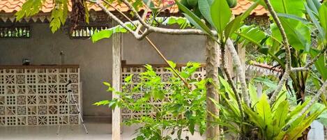 Un jardín tropical con diversas plantas, un árbol con frutos verdes y un edificio de techo con tejas y paredes con diseños.
