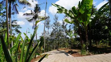 EntrĂ©e de lâhĂ©bergement