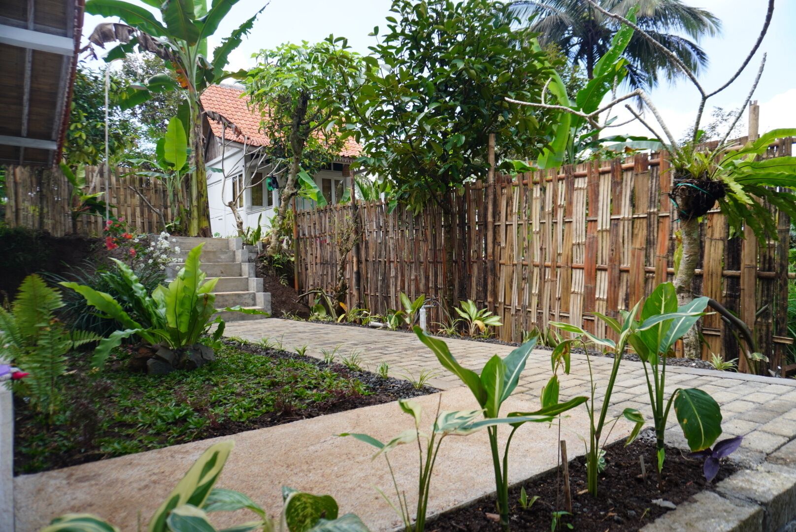 A garden with a wooden fence, a concrete pathway, and various plants.