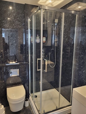 Hair dryer, towels, soap, toilet paper