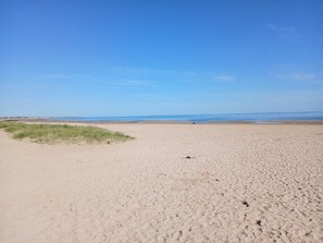 Une vaste plage de sable fin, sous un ciel bleu et dégagé.