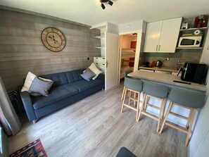 TV - Cozy studio near ski area with parking (Châtel)