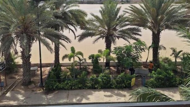 A view of a sandy beach with palm trees and a clear sky. - 3 Chambres Salon (Saint Louis)