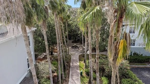 Un patio con altas palmeras, una fuente central y un sendero de ladrillo.