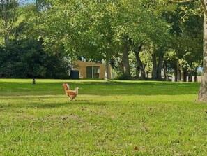 Parco della struttura